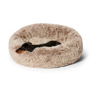 dog in large pet bed
